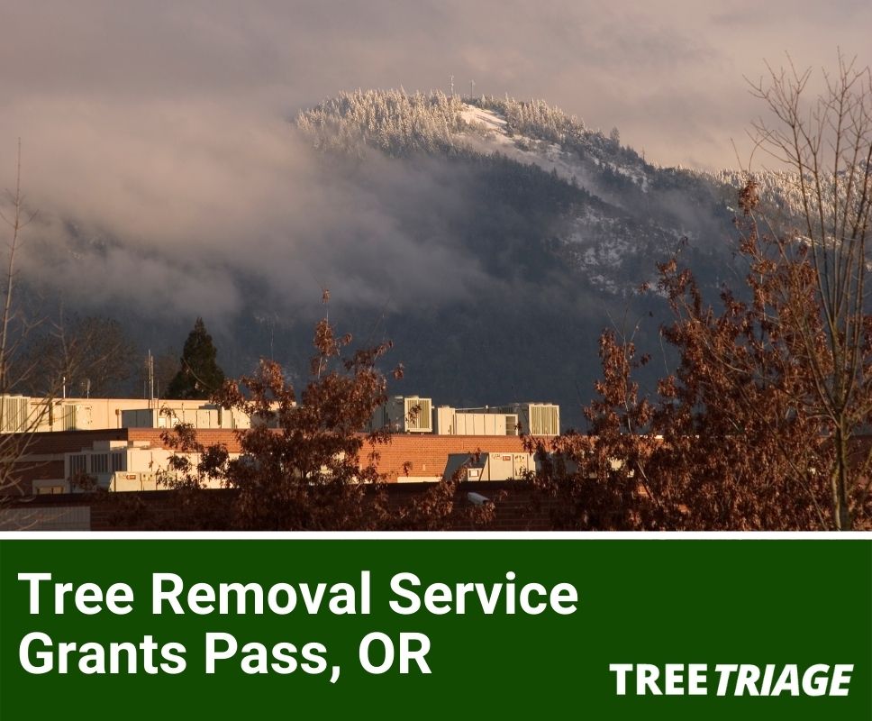 Tree Removal Service Grants Pass, OR-1
