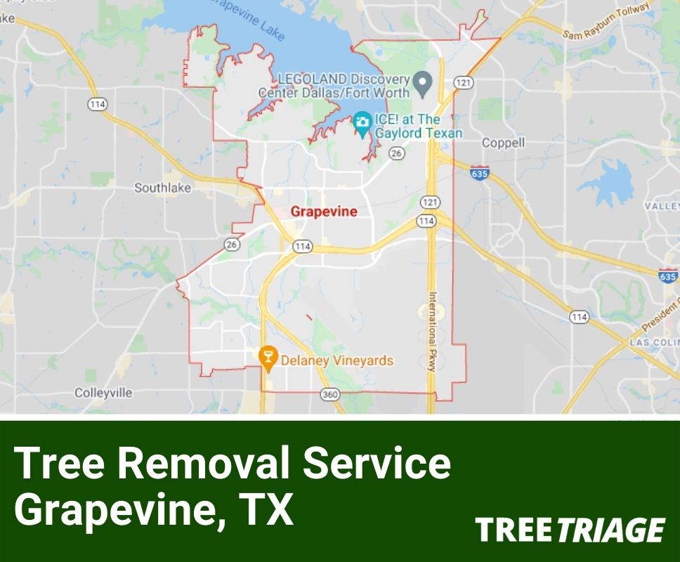 Tree Removal Service Grapevine, TX-1