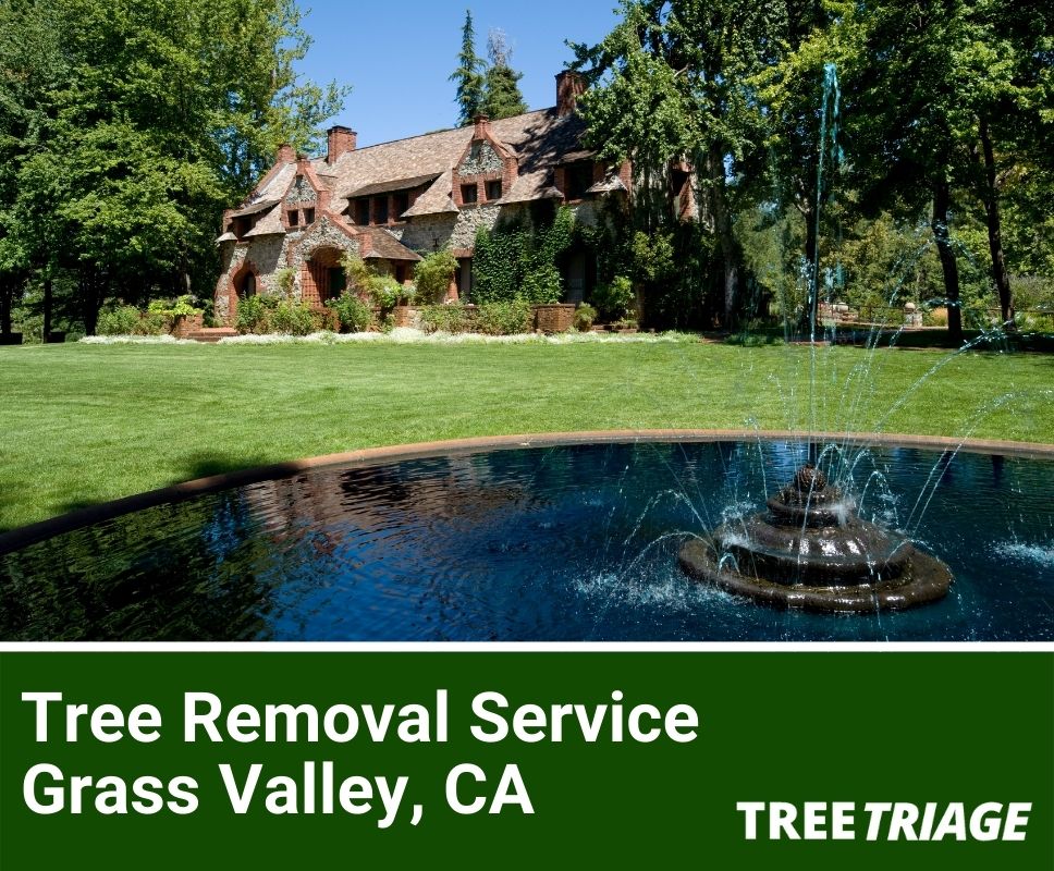 Tree Removal Service Grass Valley, CA-11