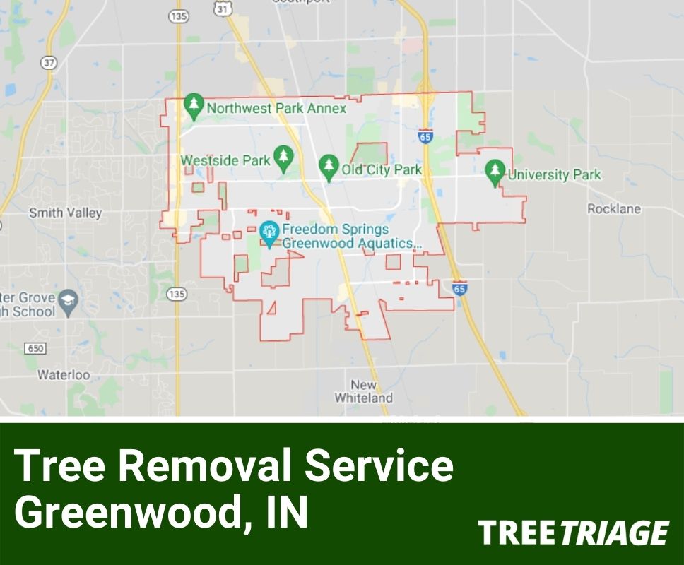 Tree Removal Service Greenwood, IN-1