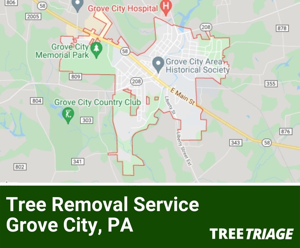 Tree Removal Service Grove City, PA-1