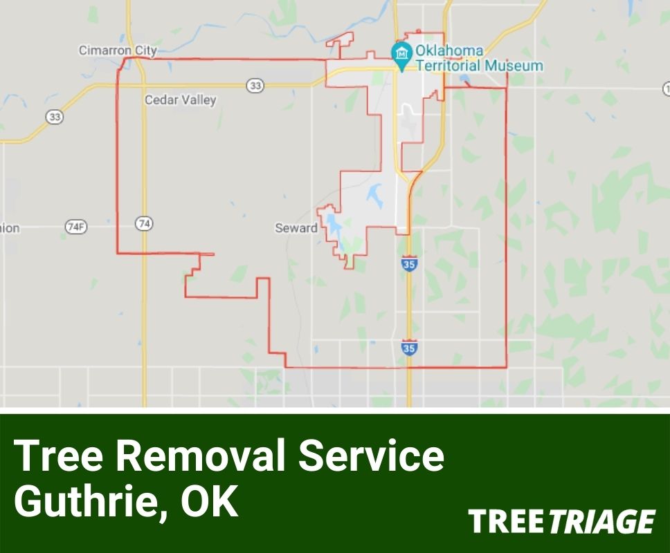 Tree Removal Service Guthrie, OK-1