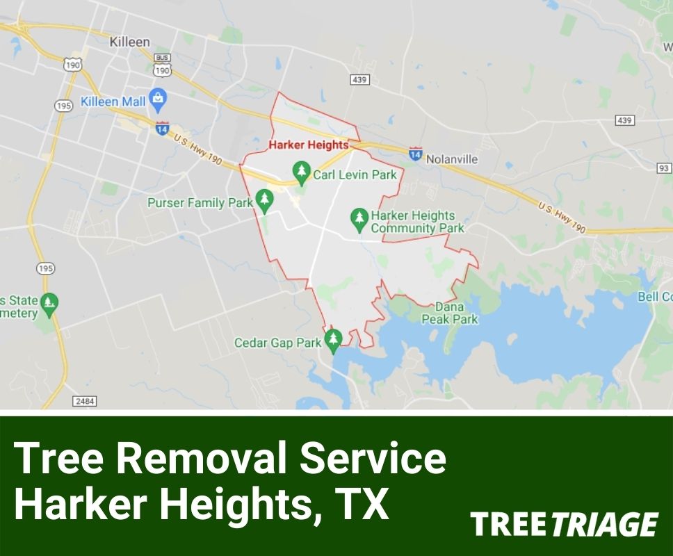 Tree Removal Service Harker Heights, TX-1