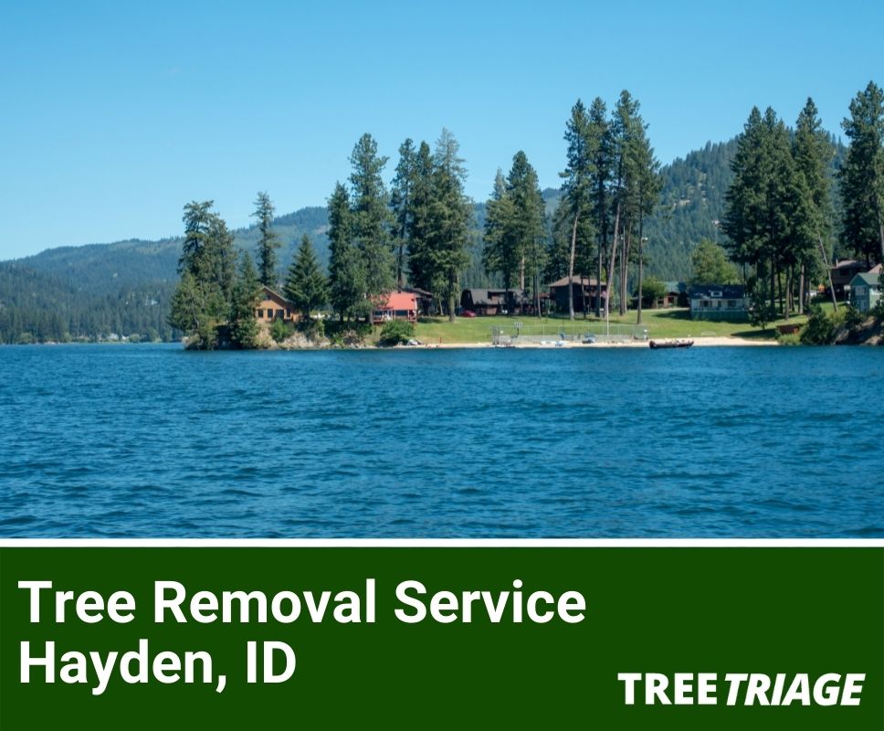 Tree Removal Service Hayden, ID-1