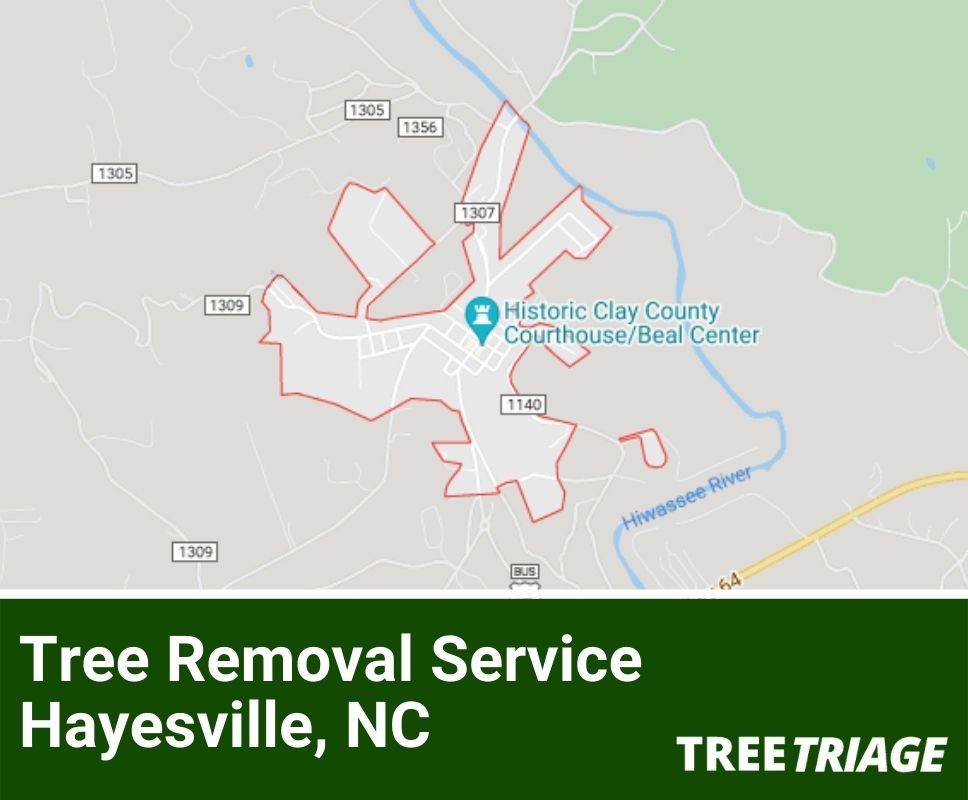 Tree Removal Service Hayesville, NC-1