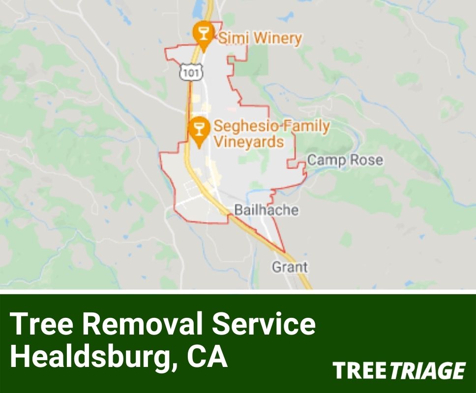 Tree Removal Service Healdsburg, CA-1(4)