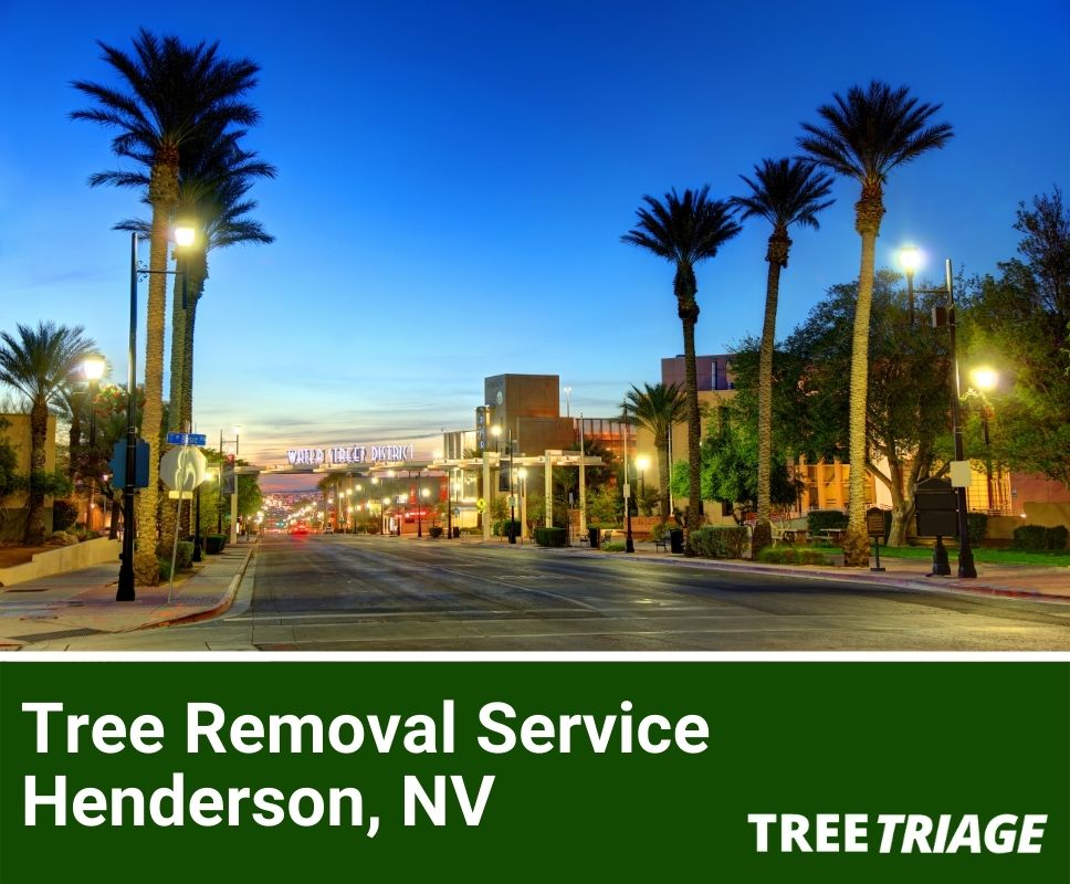Tree Removal Service Henderson, NV-1