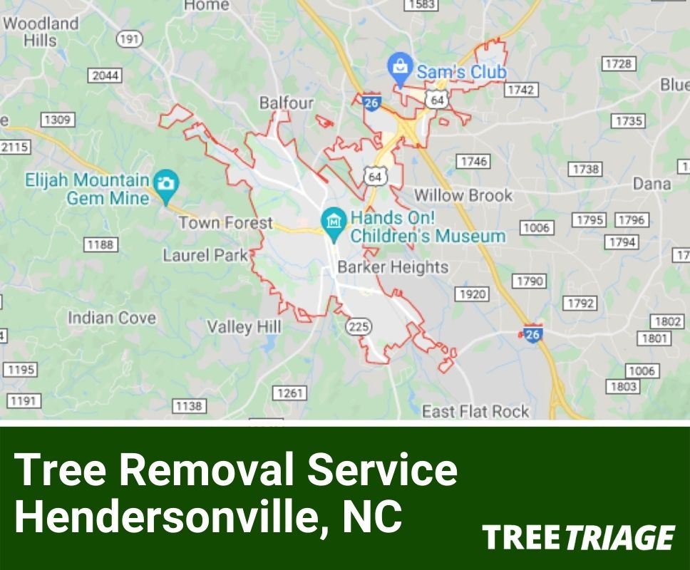 Tree Removal Service Hendersonville, NC-2