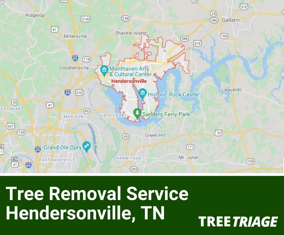 Tree Removal Service Hendersonville, TN-1