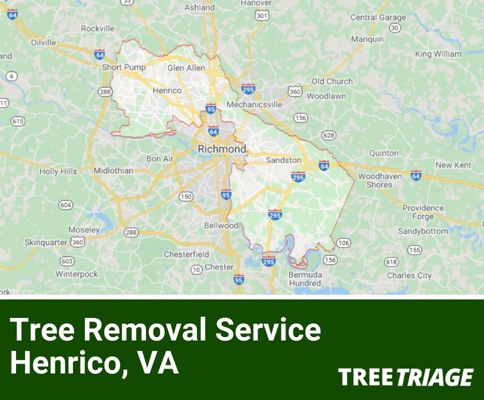 Tree Removal Service Henrico, VA-1