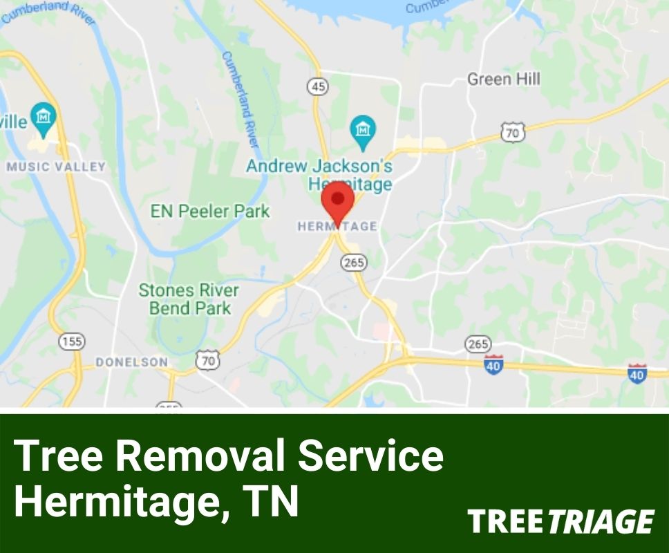 Tree Removal Service Hermitage, TN-2