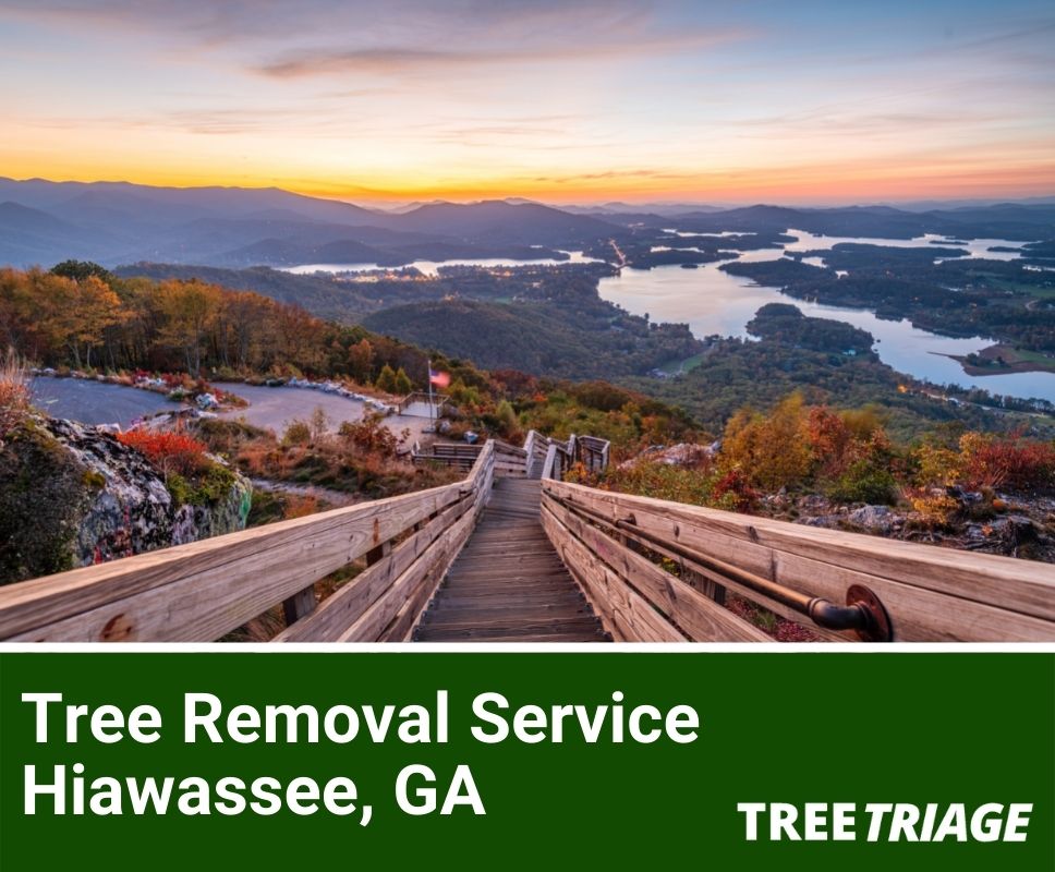 Tree Removal Service Hiawassee, GA-1