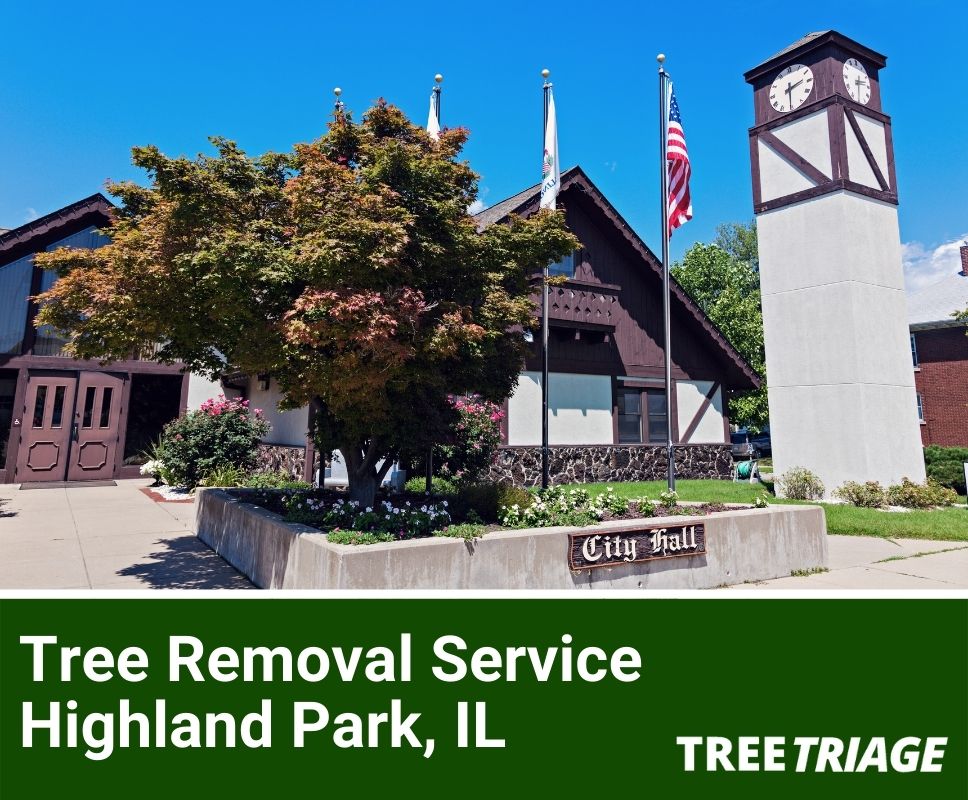 Tree Removal Service Highland Park, IL-1