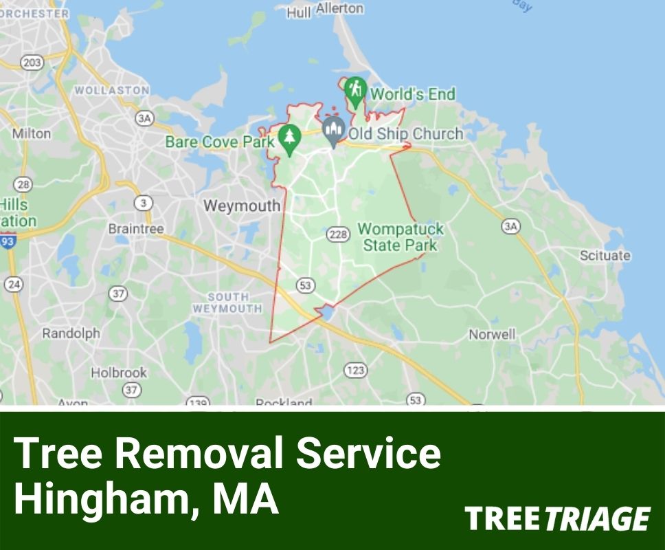 Tree Removal Service Hingham, MA-1(1)