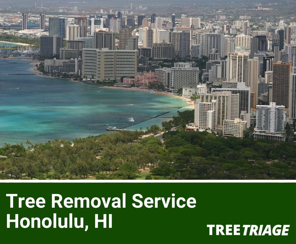 Tree Removal Service Honolulu, HI-1