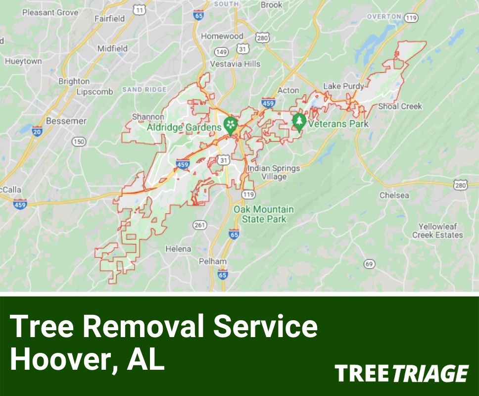 Tree Removal Service Hoover, AL-1