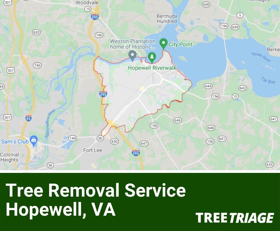 Tree Removal Service Hopewell, VA-1