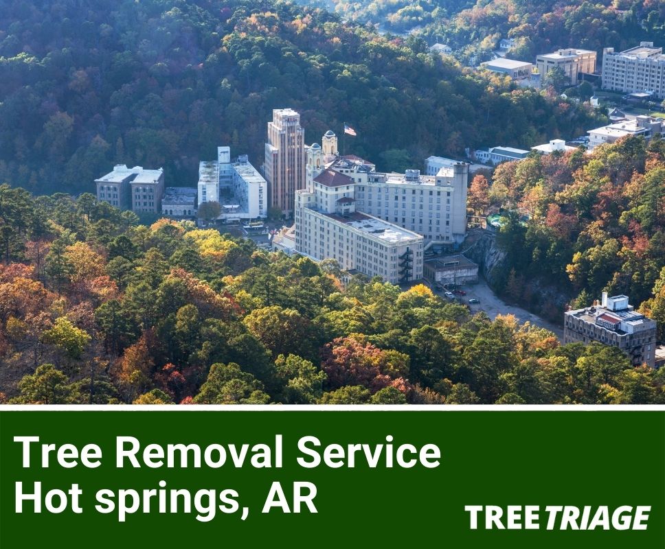 Tree Removal Service Hot springs, AR-1