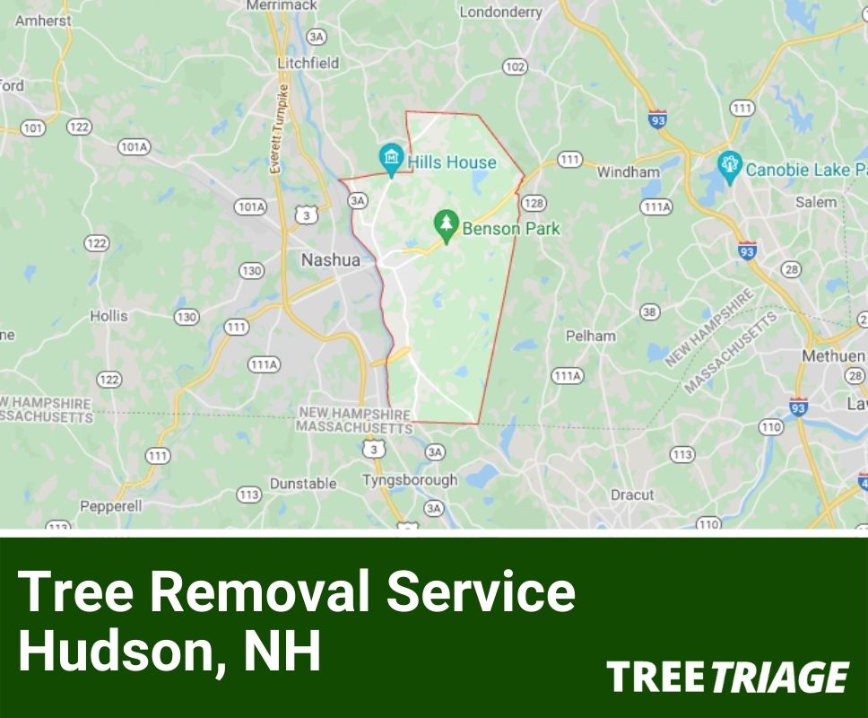 Tree Removal Service Hudson, NH-1(1)