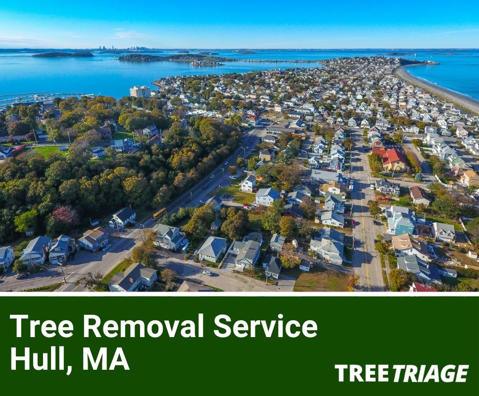 Tree Removal Service Hull, MA-1