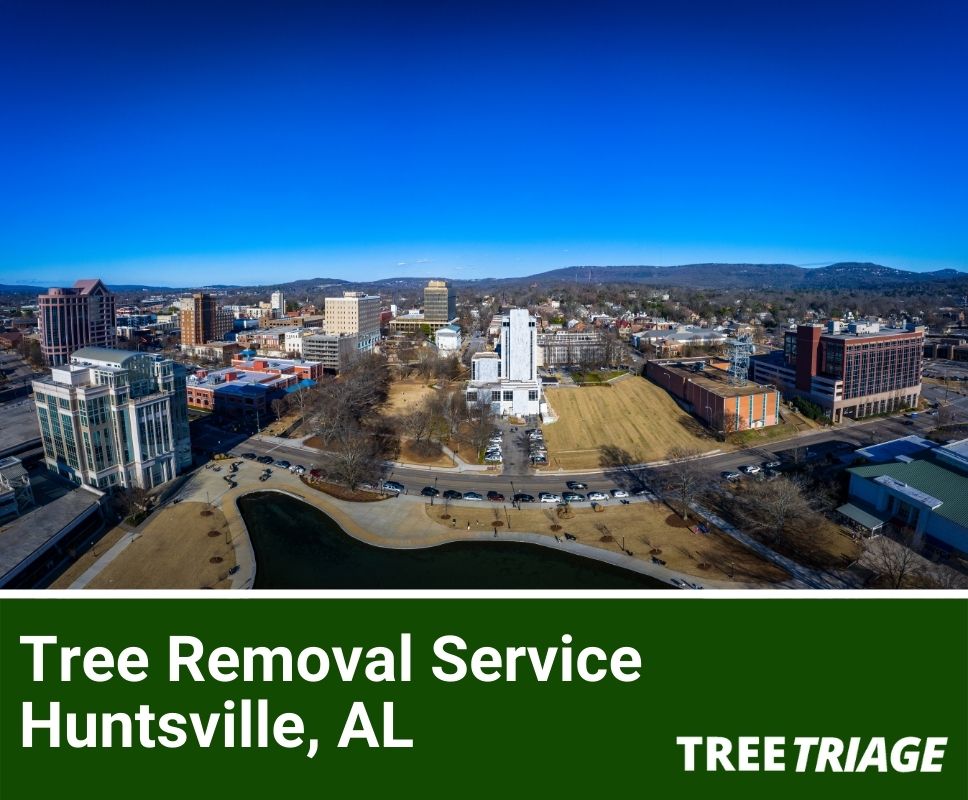 Tree Removal Service Huntsville, AL-1