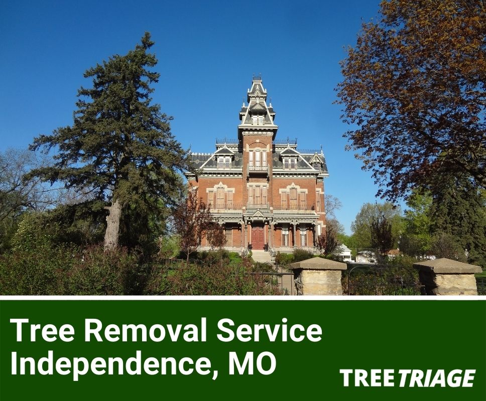 Tree Removal Service Independence, MO-2