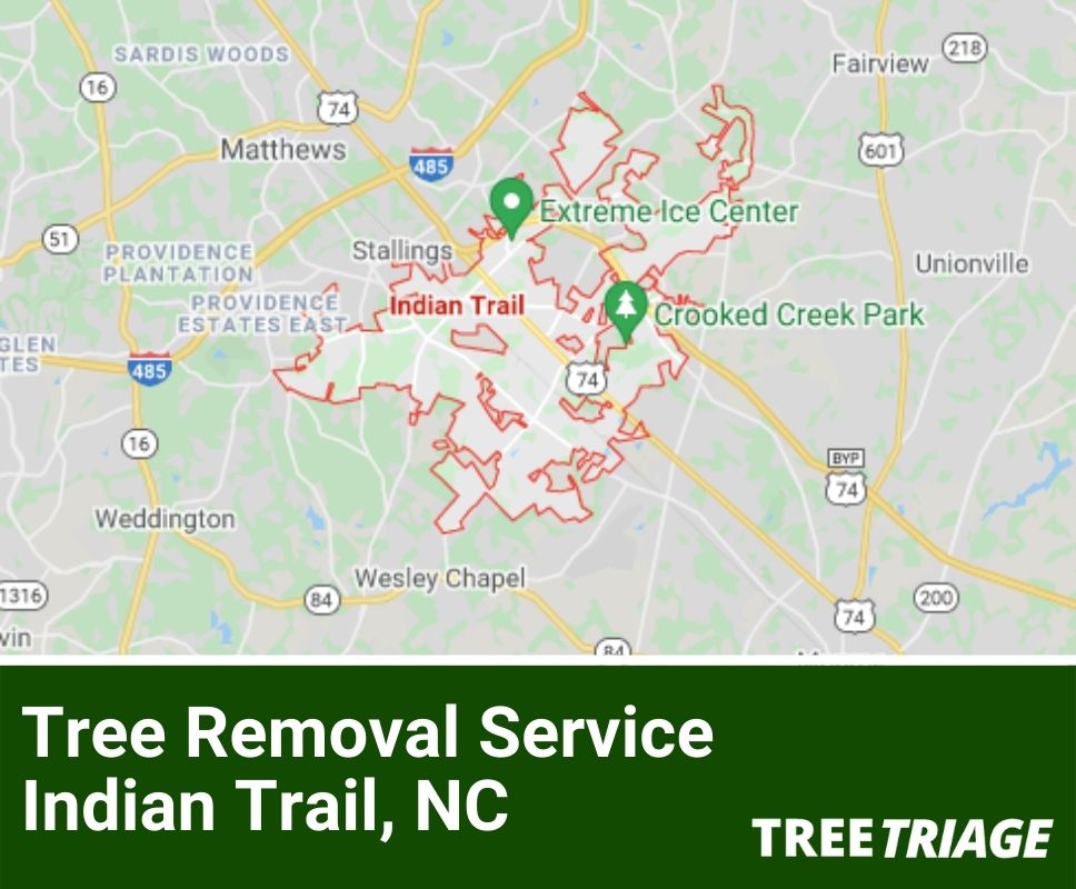 Tree Removal Service Indian Trail, NC-1