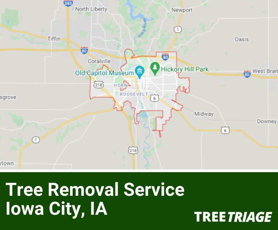 Tree Removal Service Iowa City, IA-1