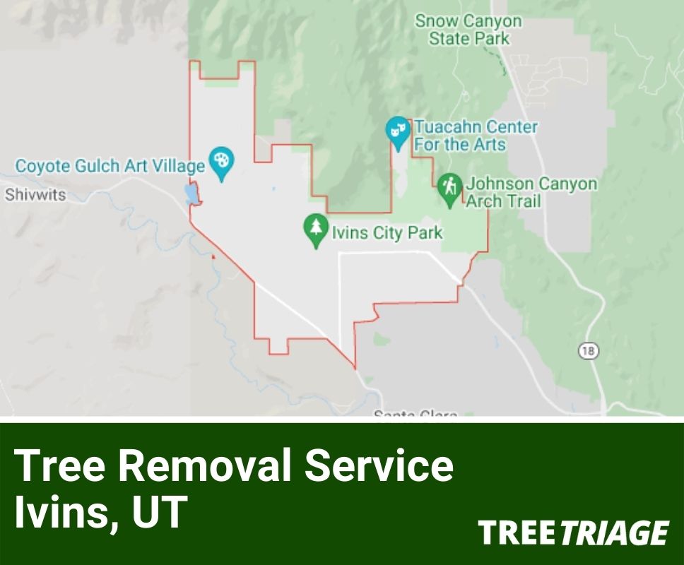 Tree Removal Service Ivins, UT-2