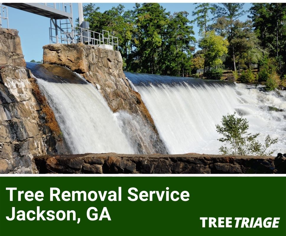 Tree Removal Service Jackson, GA-1