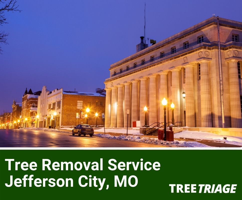 Tree Removal Service Jefferson City, MO-1
