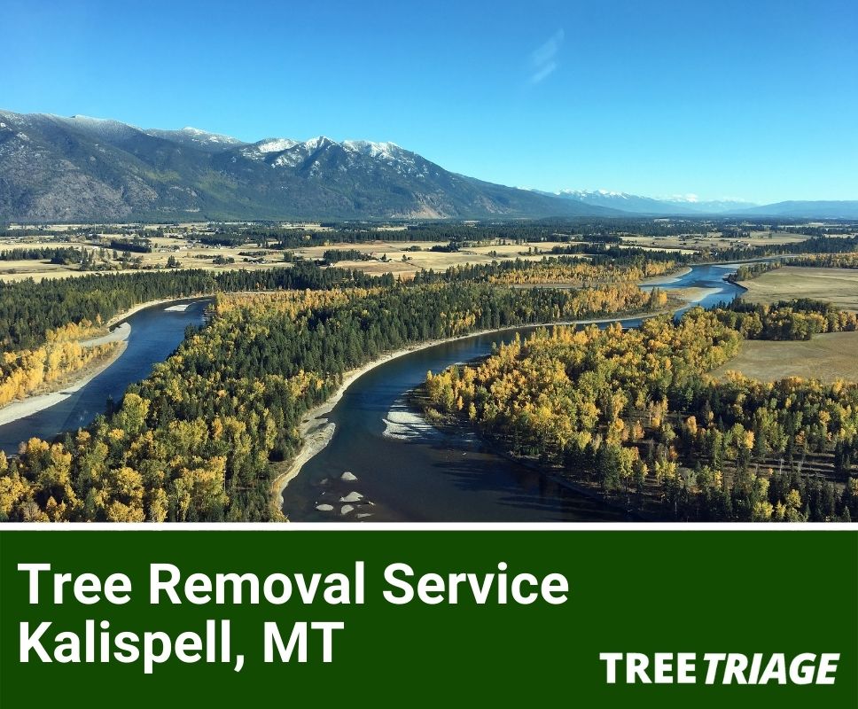 Tree Removal Service Kalispell, MT-1