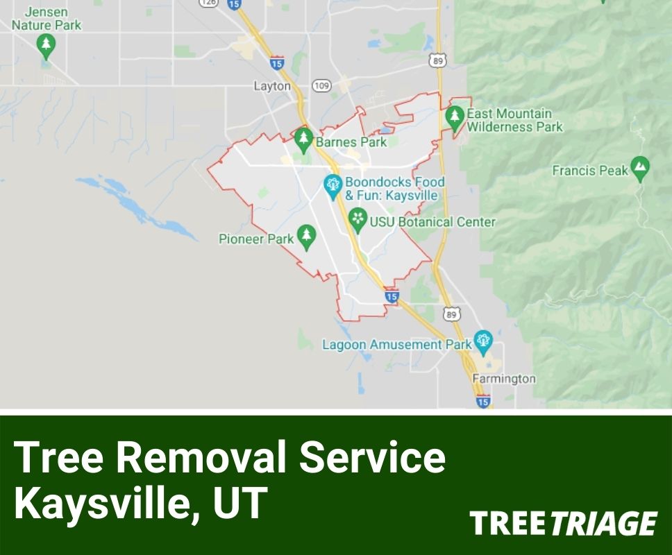 Tree Removal Service Kaysville, UT-1