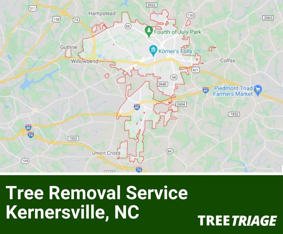 Tree Removal Service Kernersville, NC-1