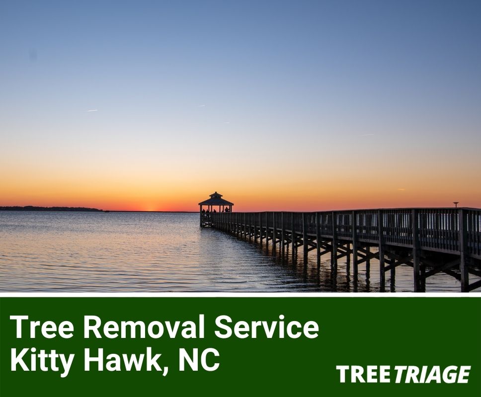 Tree Removal Service Kitty Hawk, NC-1