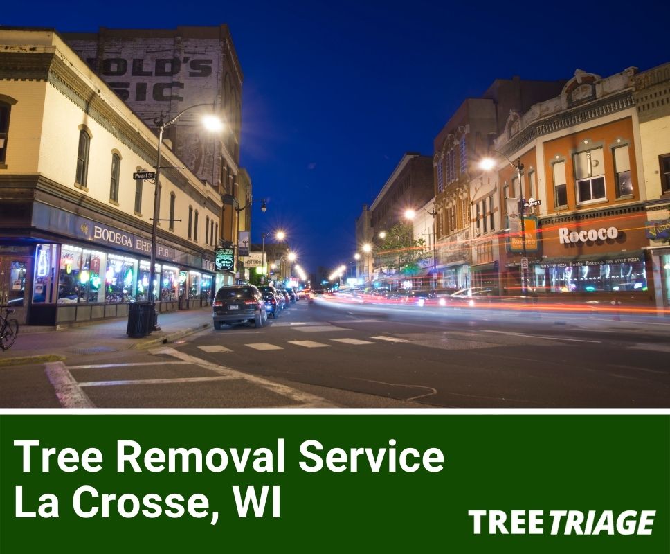 Tree Removal Service La Crosse, WI-1