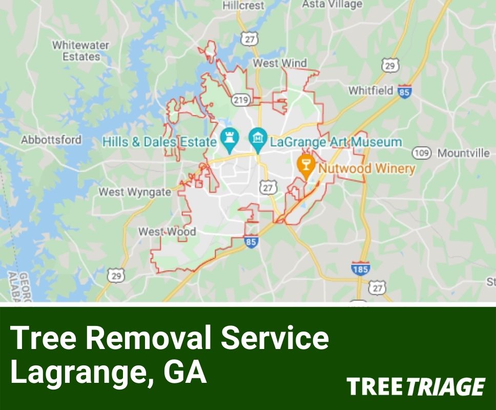 Tree Removal Service Lagrange, GA-1