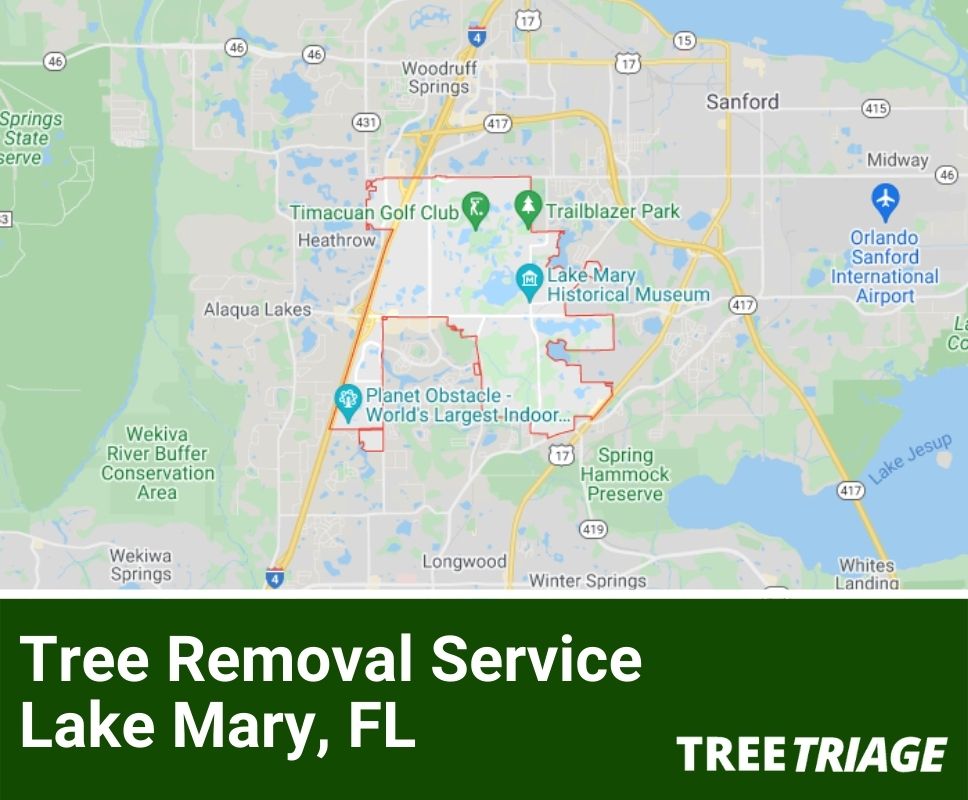 Tree Removal Service Lake Mary, FL-1