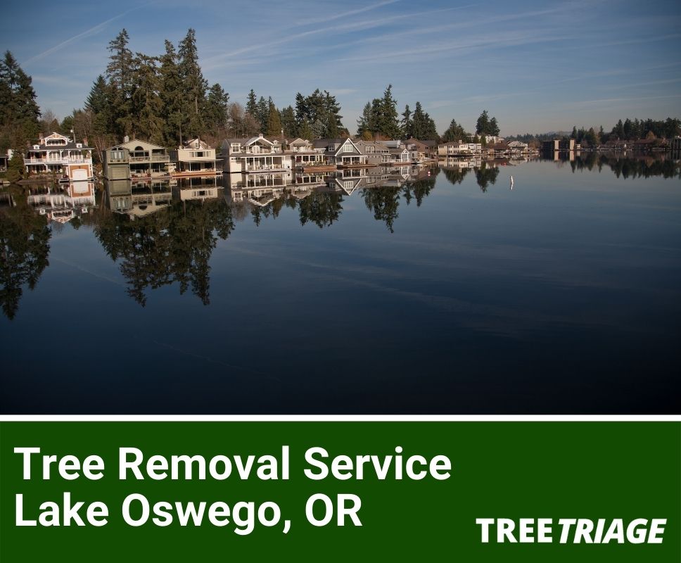 Tree Removal Service Lake Oswego, OR-1