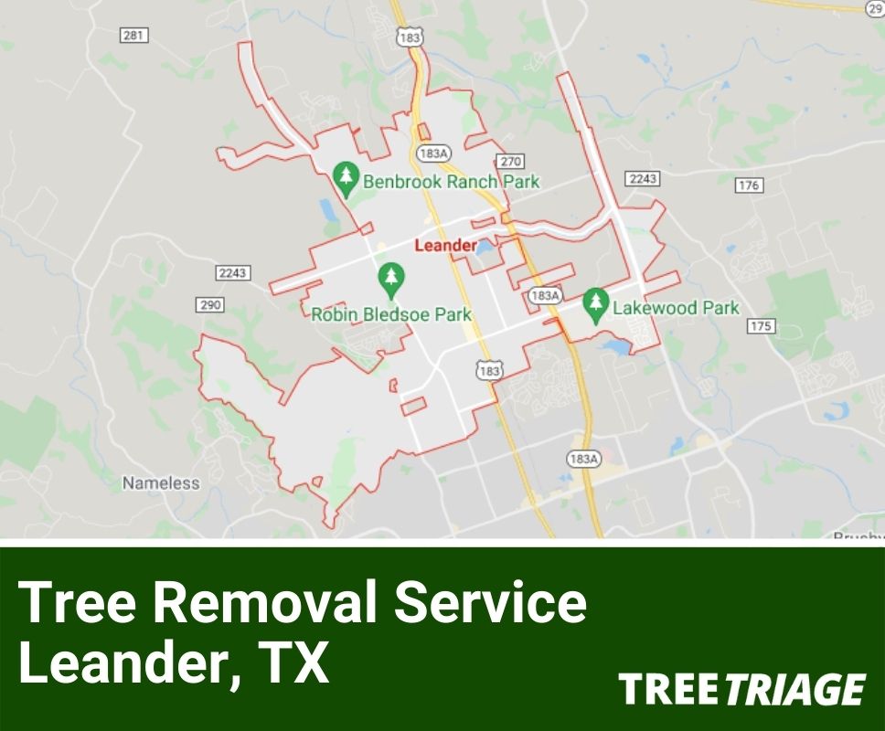 Tree Removal Service Leander, TX-1