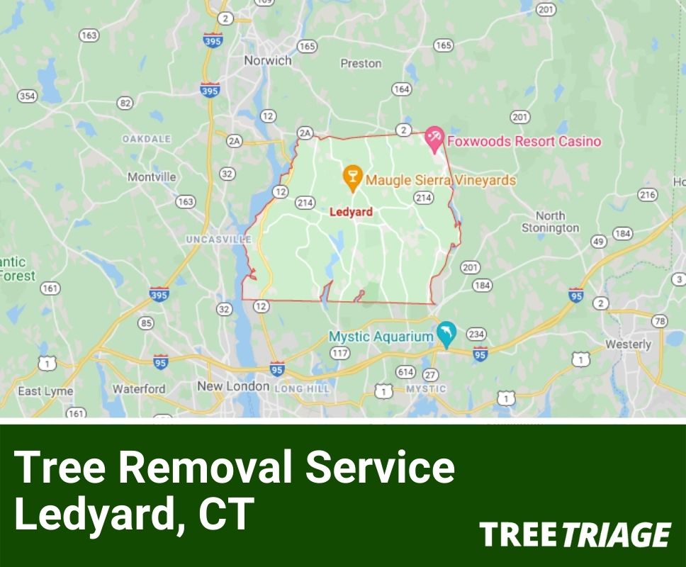Tree Removal Service Ledyard, CT-1