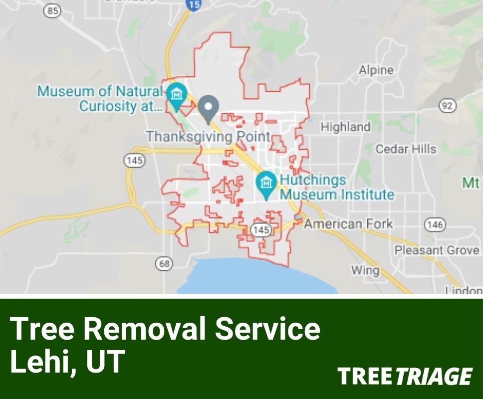 Tree Removal Service Lehi, UT-2