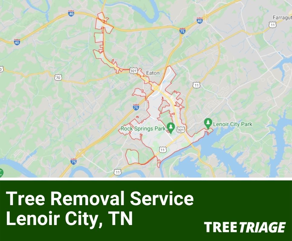 Tree Removal Service Lenoir City, TN-1