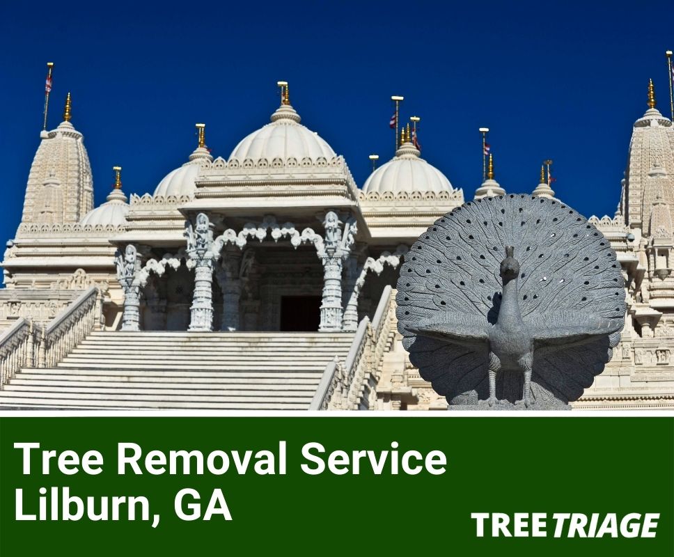 Tree Removal Service Lilburn, GA-1