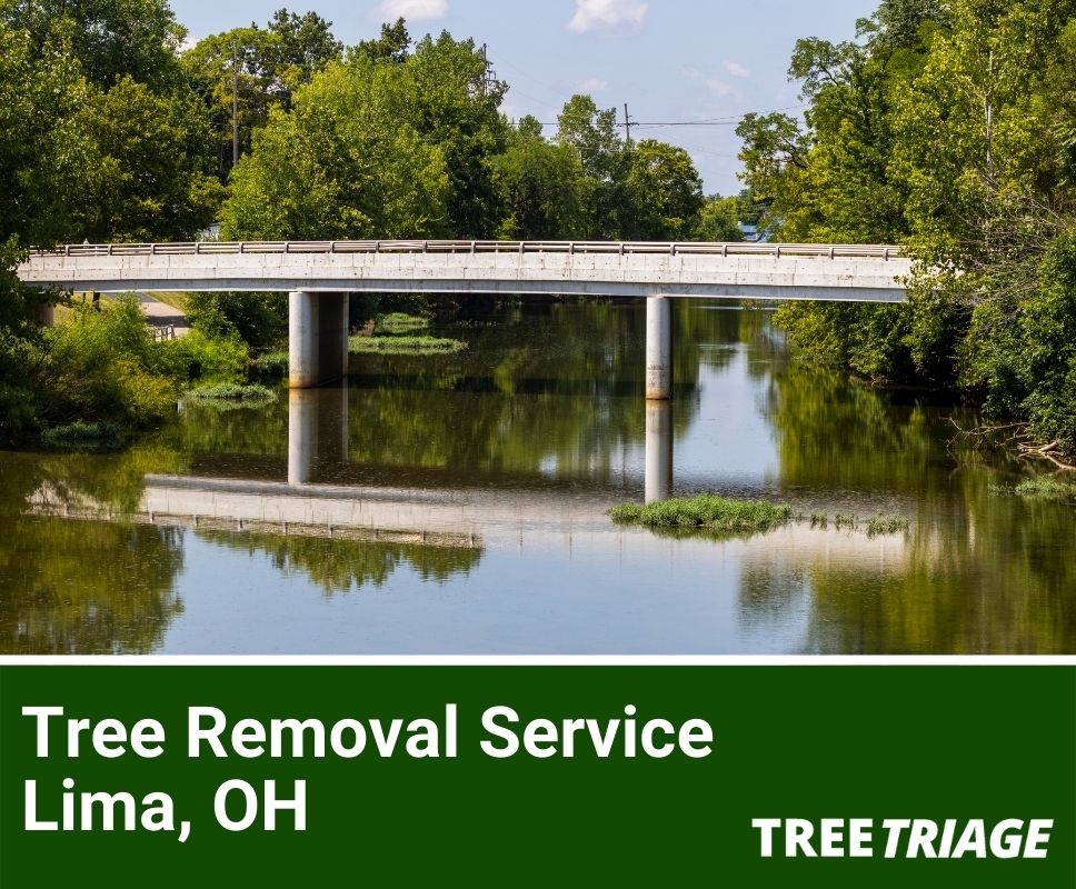 Tree Removal Service Lima, OH-1