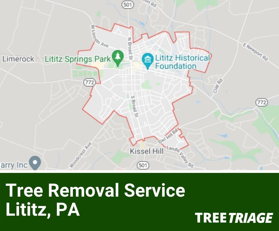 Tree Removal Service Lititz, PA-2