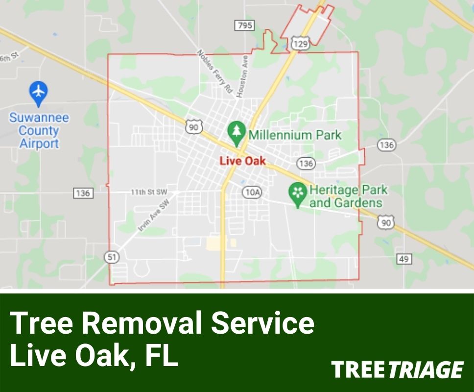 Tree Removal Service Live Oak, FL-1