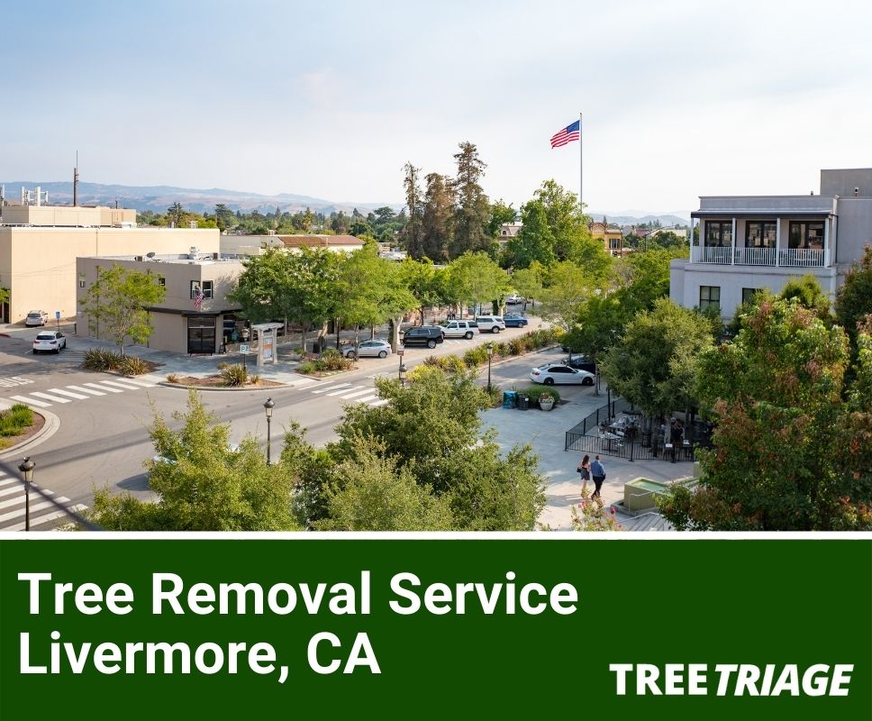 Tree Removal Service Livermore, CA-1
