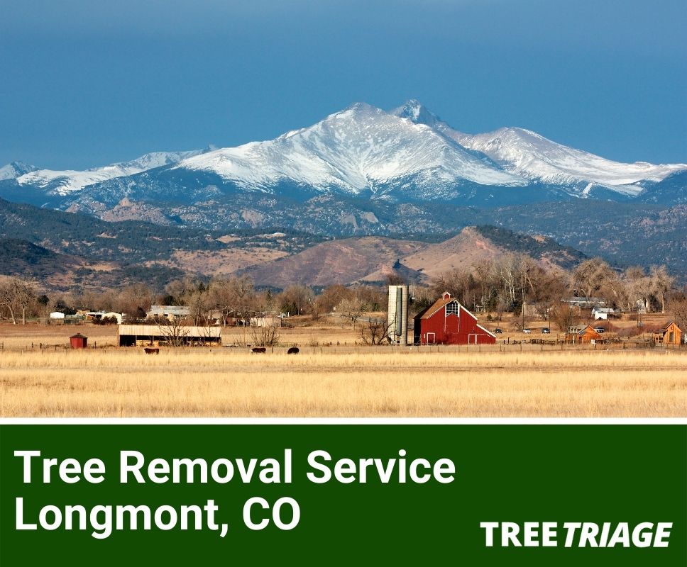 Tree Removal Service Longmont, CO-1