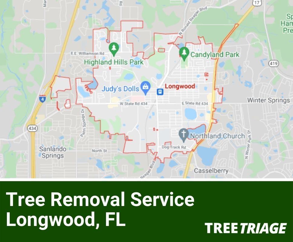 Tree Removal Service Longwood FL 1 
